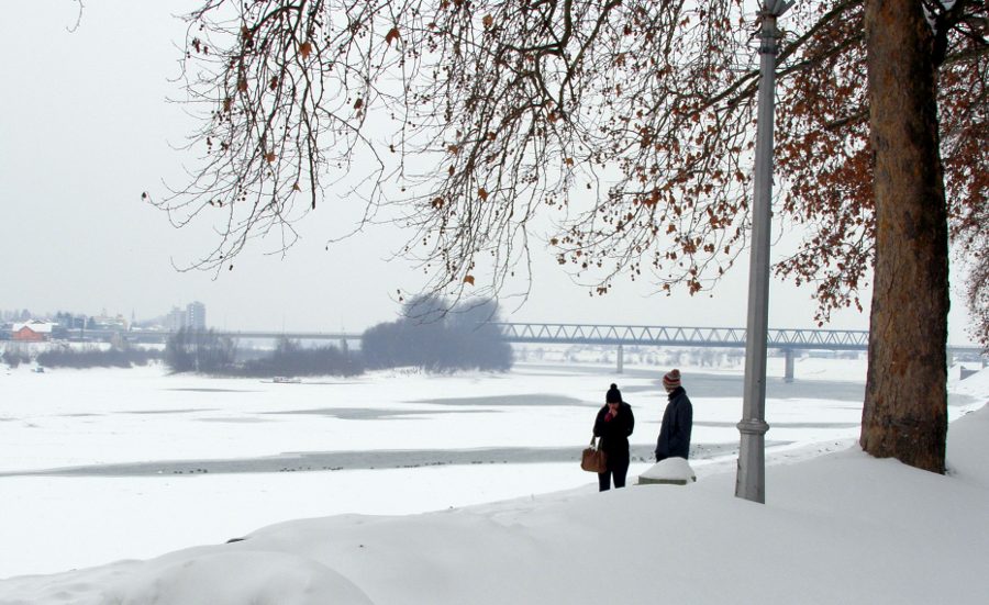 Zale�ena Sava 2012